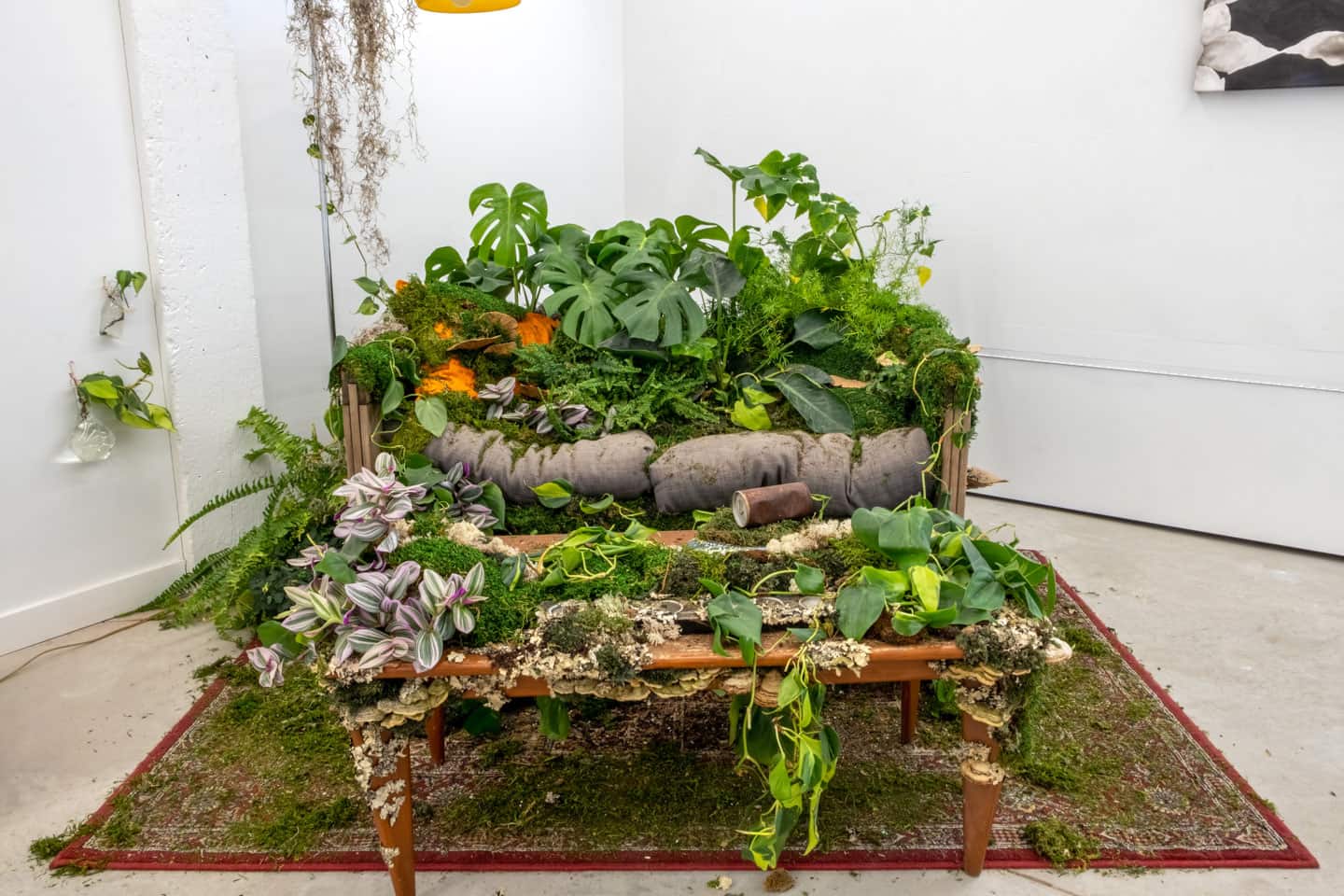 Peculiar Movements/Green Junctions at NAMARA projects